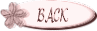 ���j���[�ɖ߂�