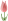 �`���[���b�v