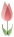 �傫���`���[���b�v